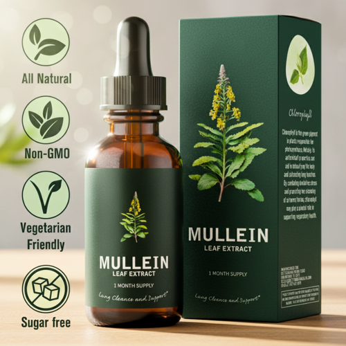 Mullein & Chlorophyll Extract
